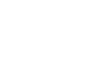 Goldense Group Inc., Website redesign and overhaul, Web Development