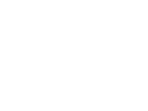 Hilton Head Fishing Adventures, Charter Fishing Website Design, Logo Design