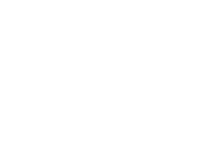 ipCapital Group, Inc. Logo Design, Corporate Website Design, Web Development, Web Marketing