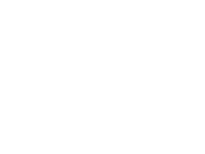 IEM Industrial Website WordPress Design and Development